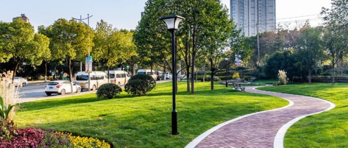 Improving the Landscape Health of Your Commercial Building