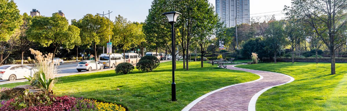 Improving the Landscape Health of Your Commercial Building