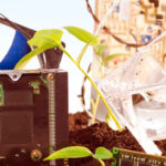 A close-up of several discarded computer components lying in the soil with small plants growing around them.