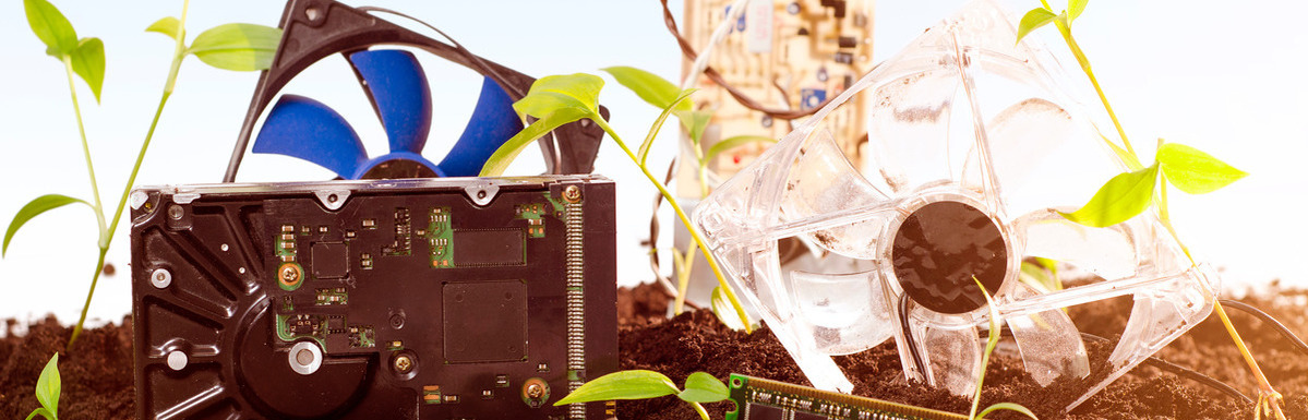 A close-up of several discarded computer components lying in the soil with small plants growing around them.
