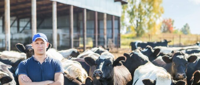 A man wearing a blue t-shirt, jeans, and a blue baseball cap stands in a pasture surrounded by cows with his arms crossed.